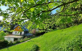 Pension Apartmány Harrachov 288